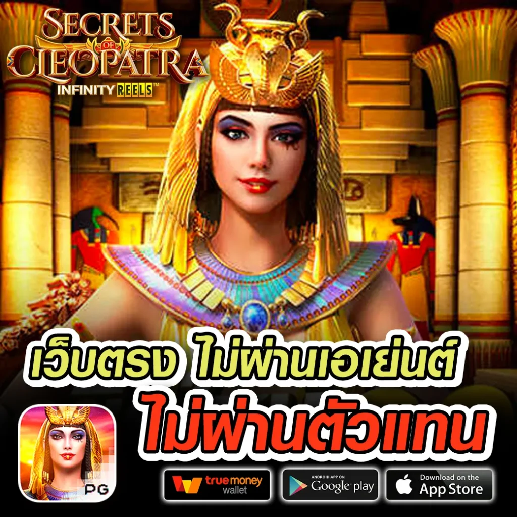 เว็บ New-Rich